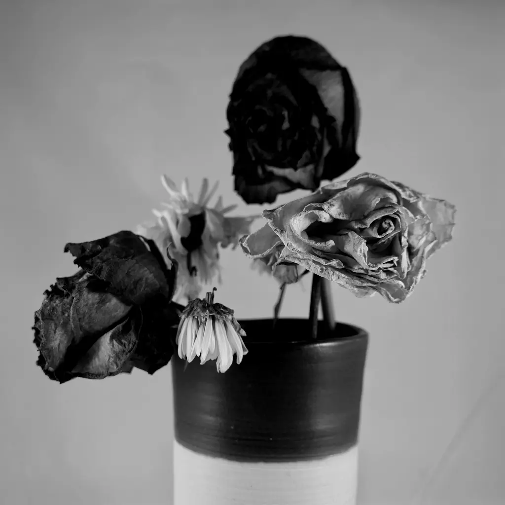 Série Objets trouvés : fleurs séchées dans un vase, en noir et blanc
